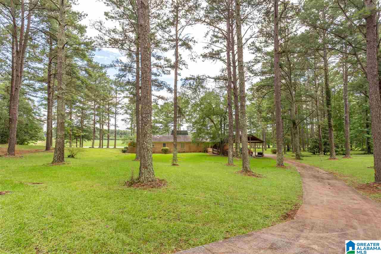 720 East Renfroe Road Talladega, AL 35160 - Photo 37 of 41