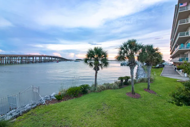 a view of a lake with a big yard and palm trees