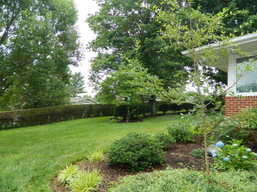 2132 Heatherly Road Kingsport, TN 37660 - Photo 25 of 32 Back Yard