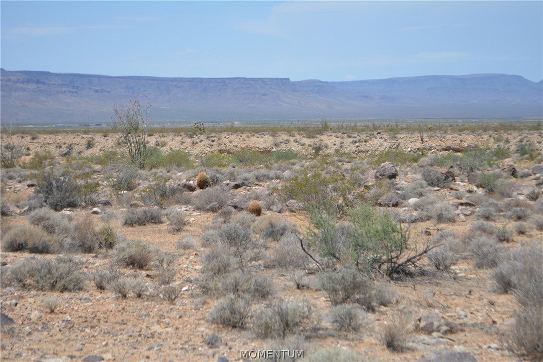 208-24-134 South Cameron Road Yucca, AZ 86438 - Photo 31 of 86 Gallery Image 31