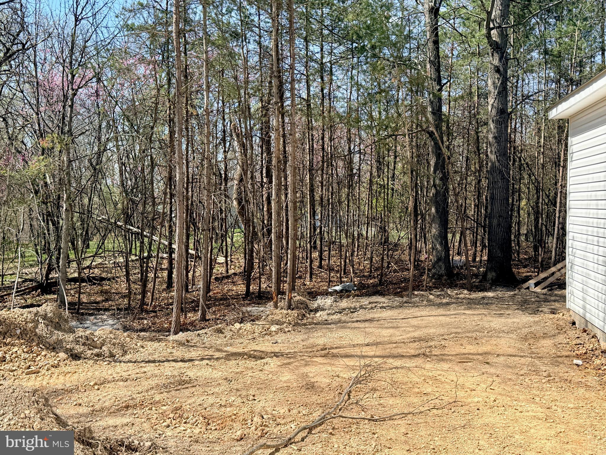 4 Jenkins Road Gerrardstown, WV 25420 - Photo 21 of 31 Yard