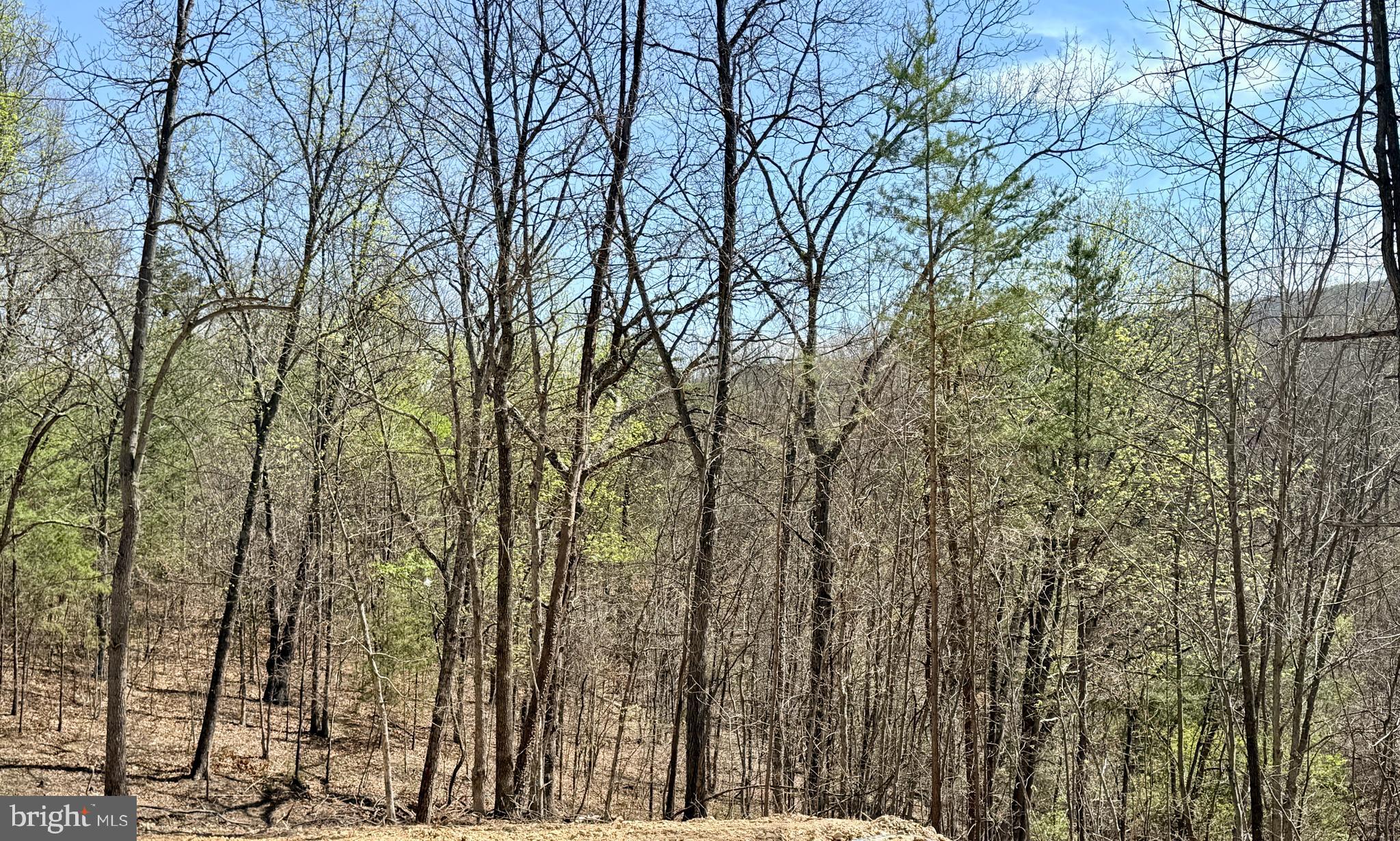 4 Jenkins Road Gerrardstown, WV 25420 - Photo 22 of 31 View