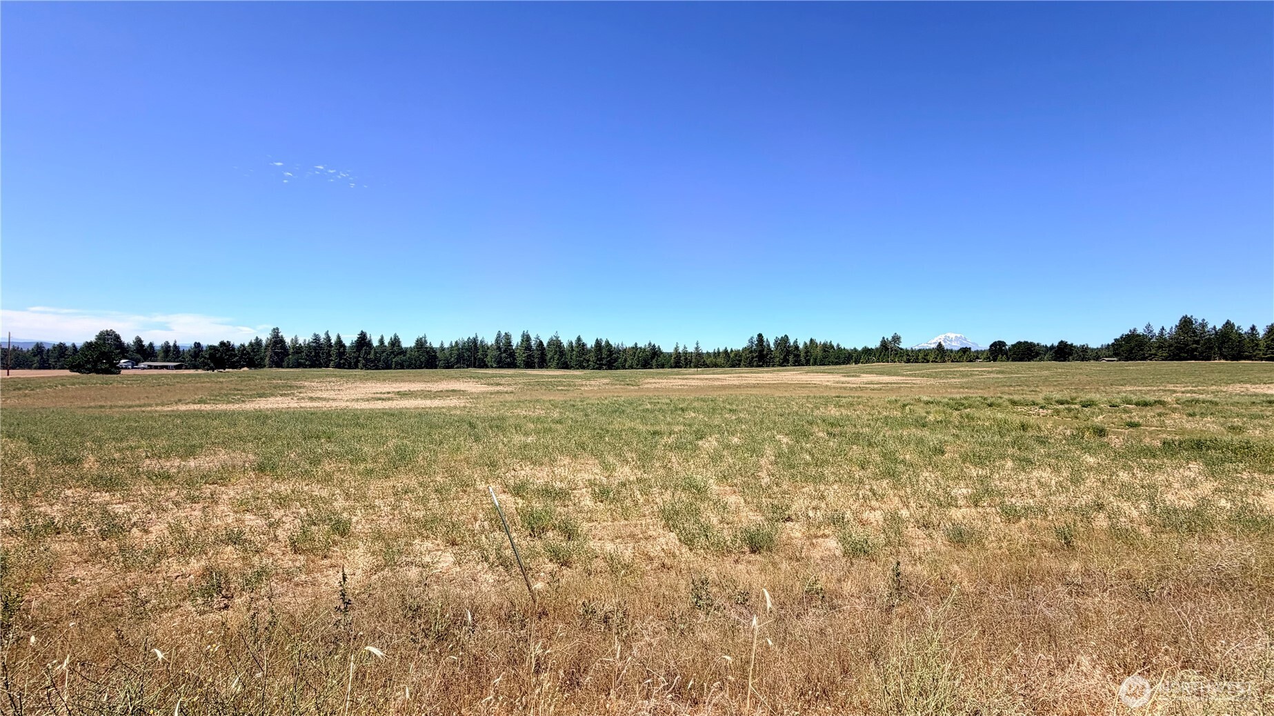 3 Buena Vista Road Goldendale, WA 98620 - Photo 3 of 4 Gallery Image 3