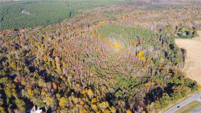 $249,000 | 13.2-ac Patrick Henry Highway, Amelia Court House, VA 23002
