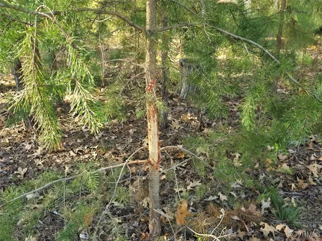 $249,000 | 13.2-ac Patrick Henry Highway, Amelia Court House, VA 23002