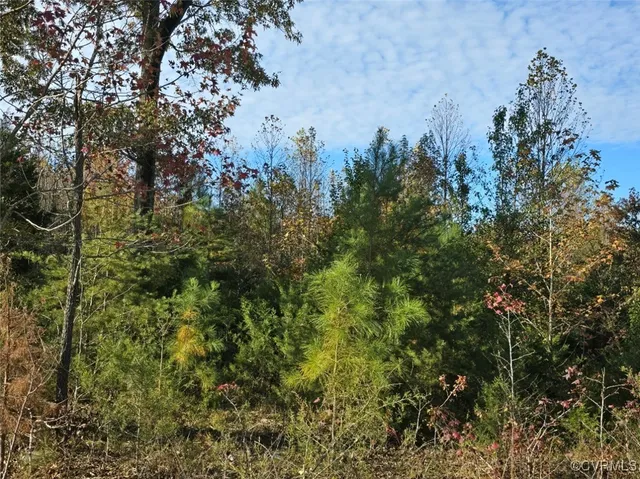 $249,000 | 13.2-ac Patrick Henry Highway, Amelia Court House, VA 23002