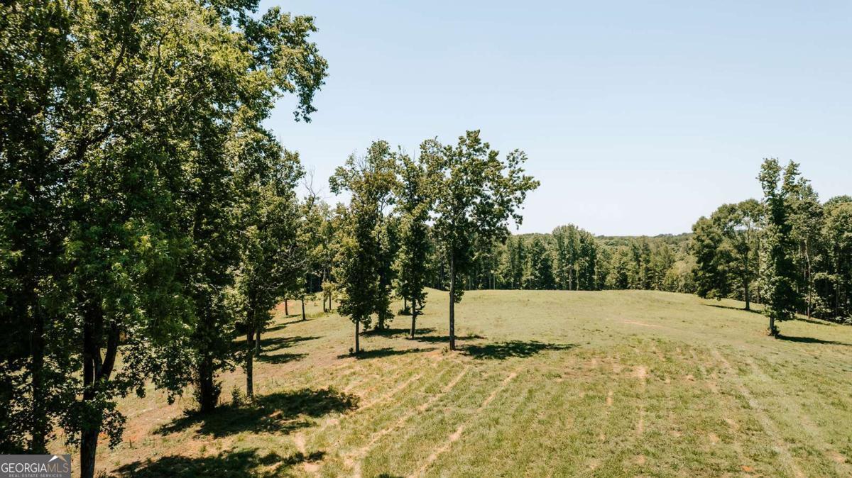 0 Mitchell Farm Road Colbert, GA 30628 - Photo 9 of 45