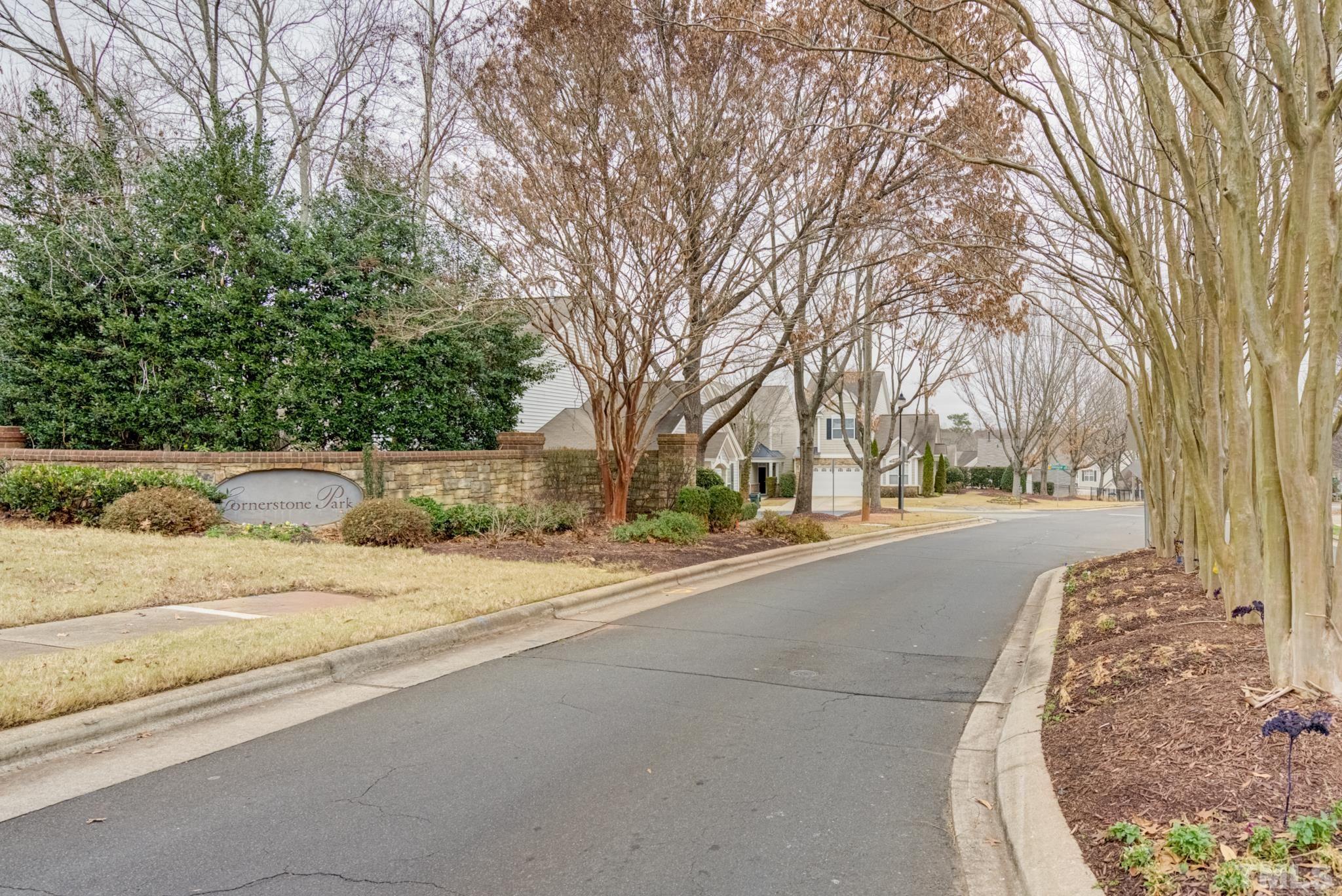 8206 Shadow Stone Court Raleigh, NC 27613 - Photo 51 of 52 a street view with large trees