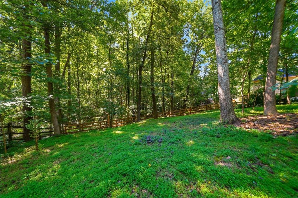 5055 Roxburgh Drive Roswell, GA 30076 - Photo 48 of 50