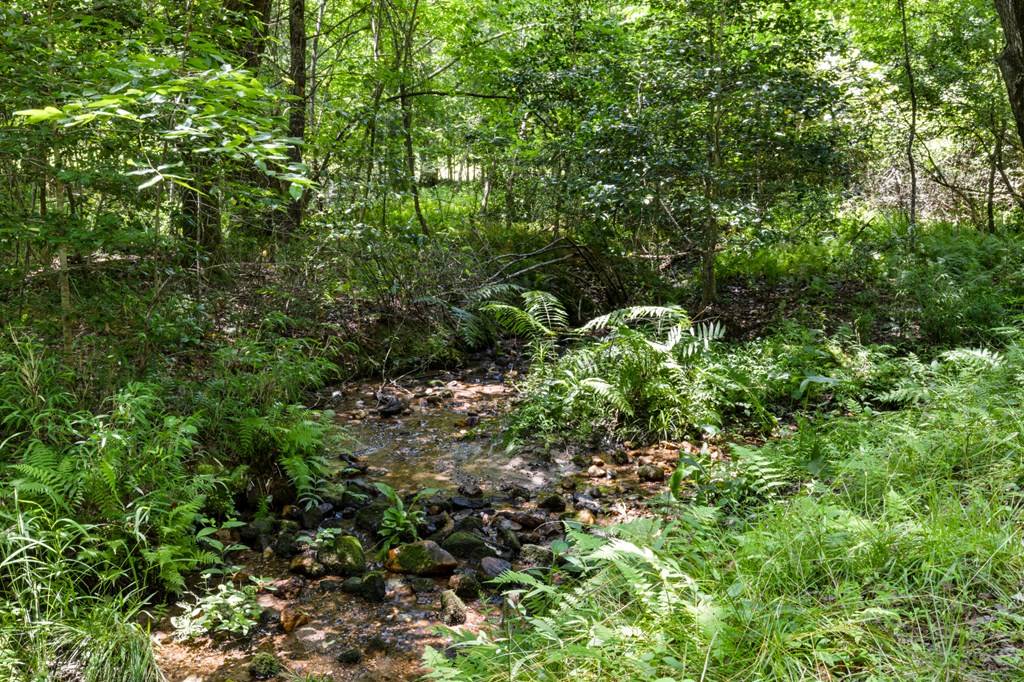 135 The Builder's Hill Morganton, GA 30560 - Photo 29 of 31