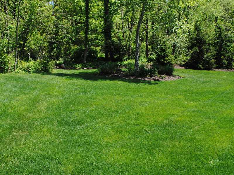104 Walnut Ridge Drive Pittsburgh, PA 15238 - Photo 21 of 24 Yard/Garden.