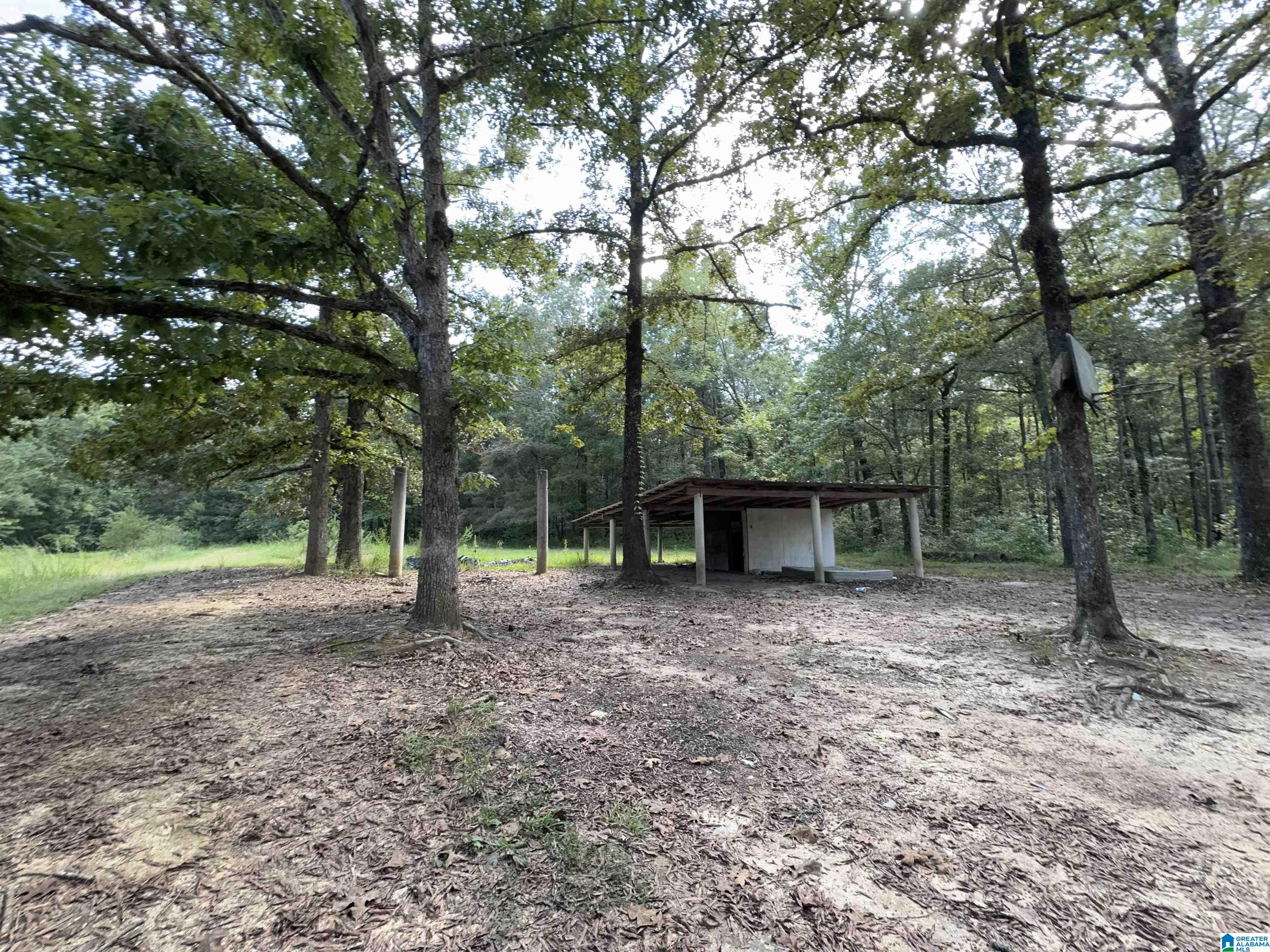 20394 County Road 55 Sterrett, AL 35147 - Photo 38 of 43