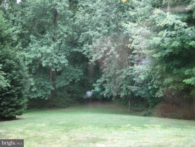 10165 Wavell Road Fairfax, VA 22032 - Photo 18 of 30 Garden