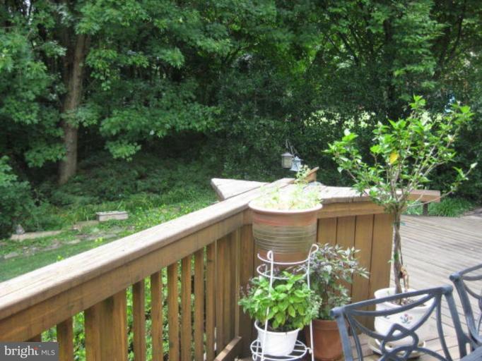 10165 Wavell Road Fairfax, VA 22032 - Photo 22 of 30 Back yard