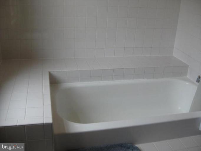10165 Wavell Road Fairfax, VA 22032 - Photo 27 of 30 Master Bath