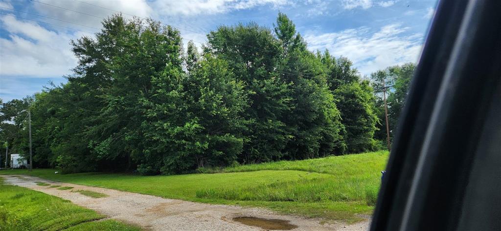 190 East E Highway Ragley, LA 70657 - Photo 6 of 7
