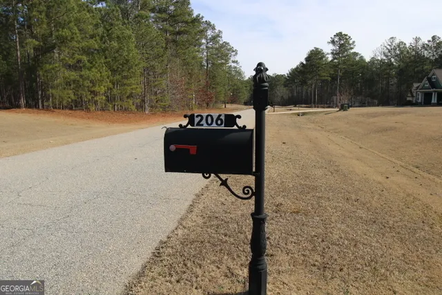 a view of a yard with a tree