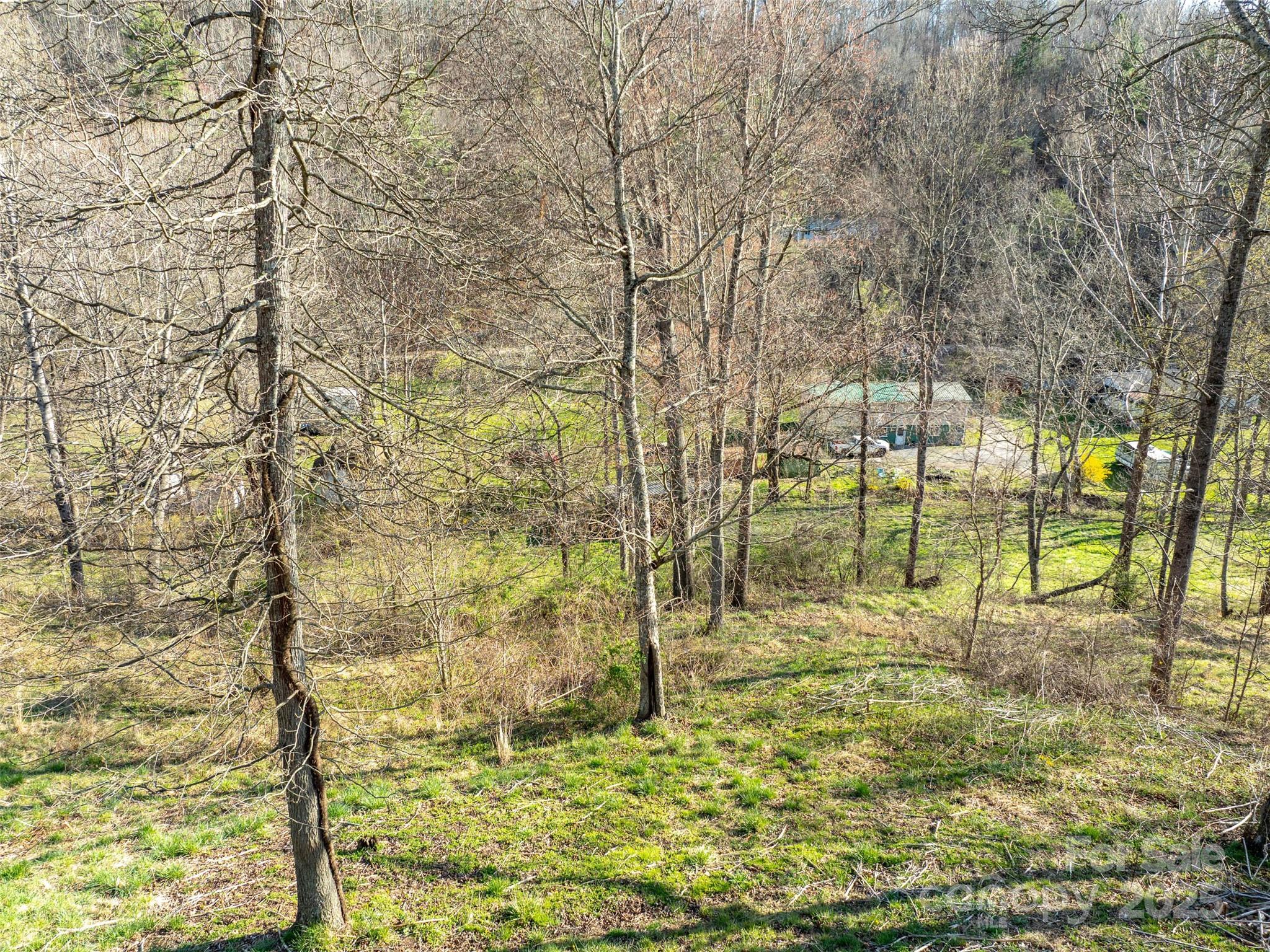 37 Wild Rock Court Clyde, NC 28721 - Photo 11 of 15 a view of yard