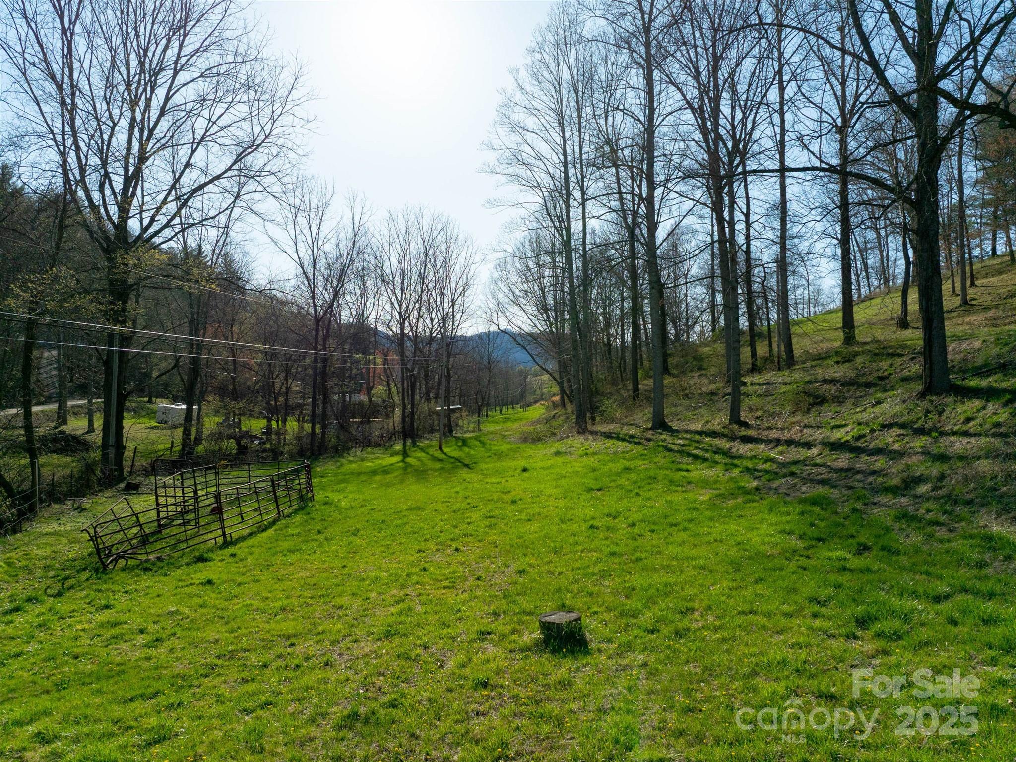 37 Wild Rock Court Clyde, NC 28721 - Photo 3 of 15 a view of a park