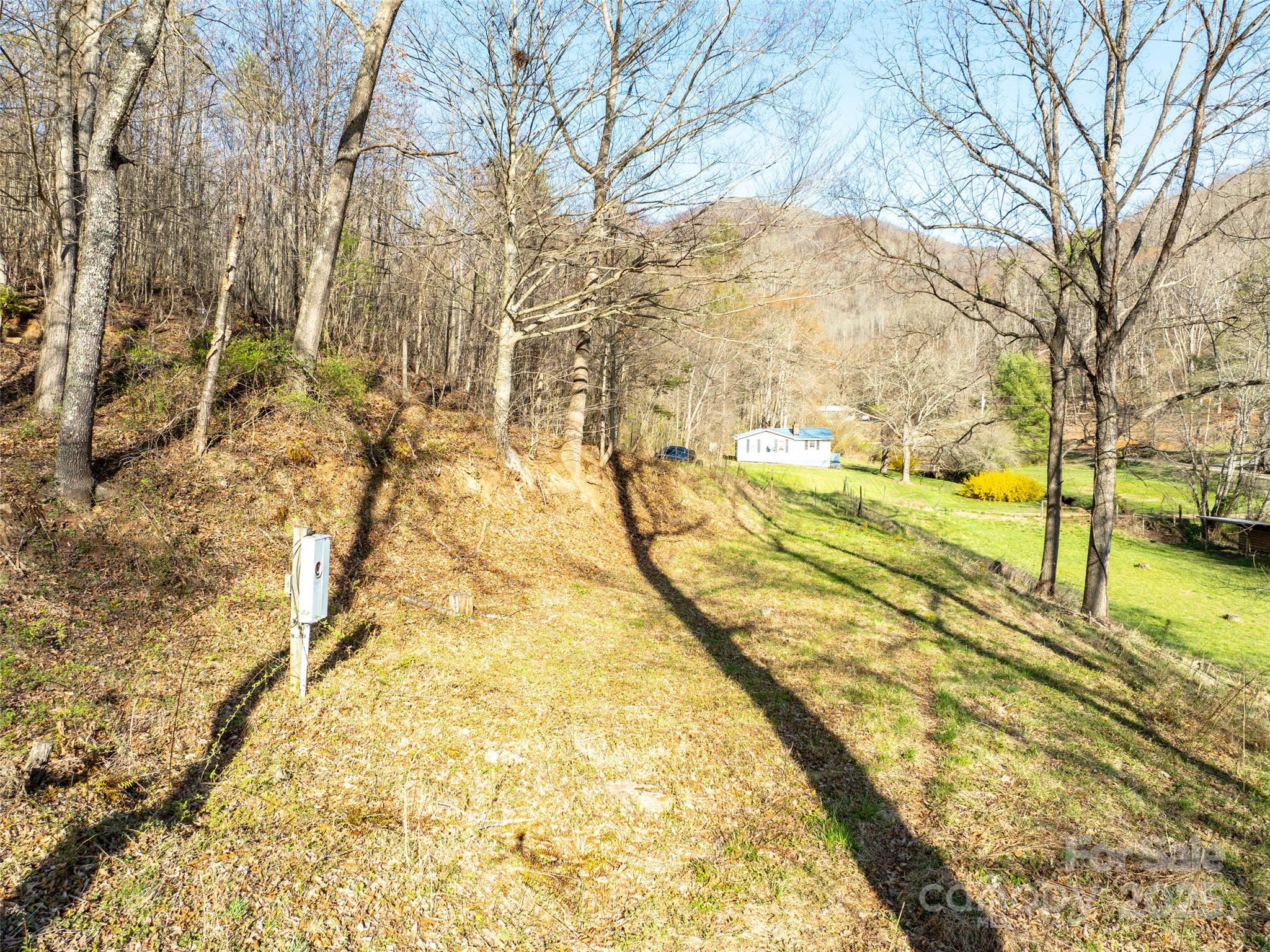 37 Wild Rock Court Clyde, NC 28721 - Photo 4 of 15