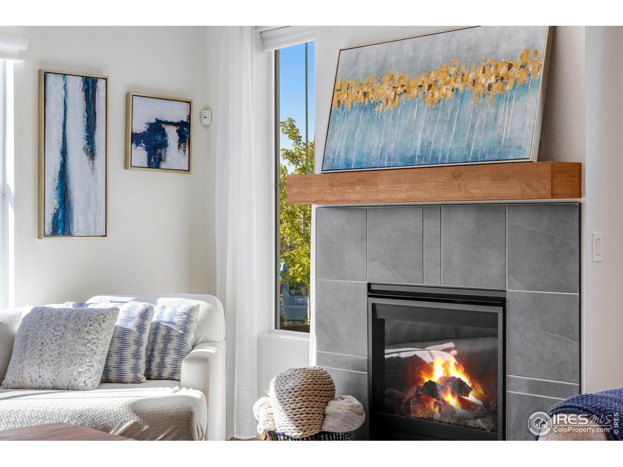 306 Rodden Drive Erie, CO 80516 - Photo 5 of 46