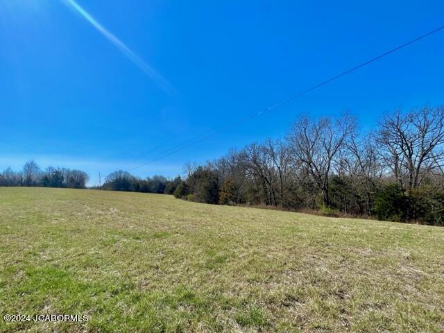 Lot 2 Co Road Holts Summit, MO 65043 - Photo 21 of 23