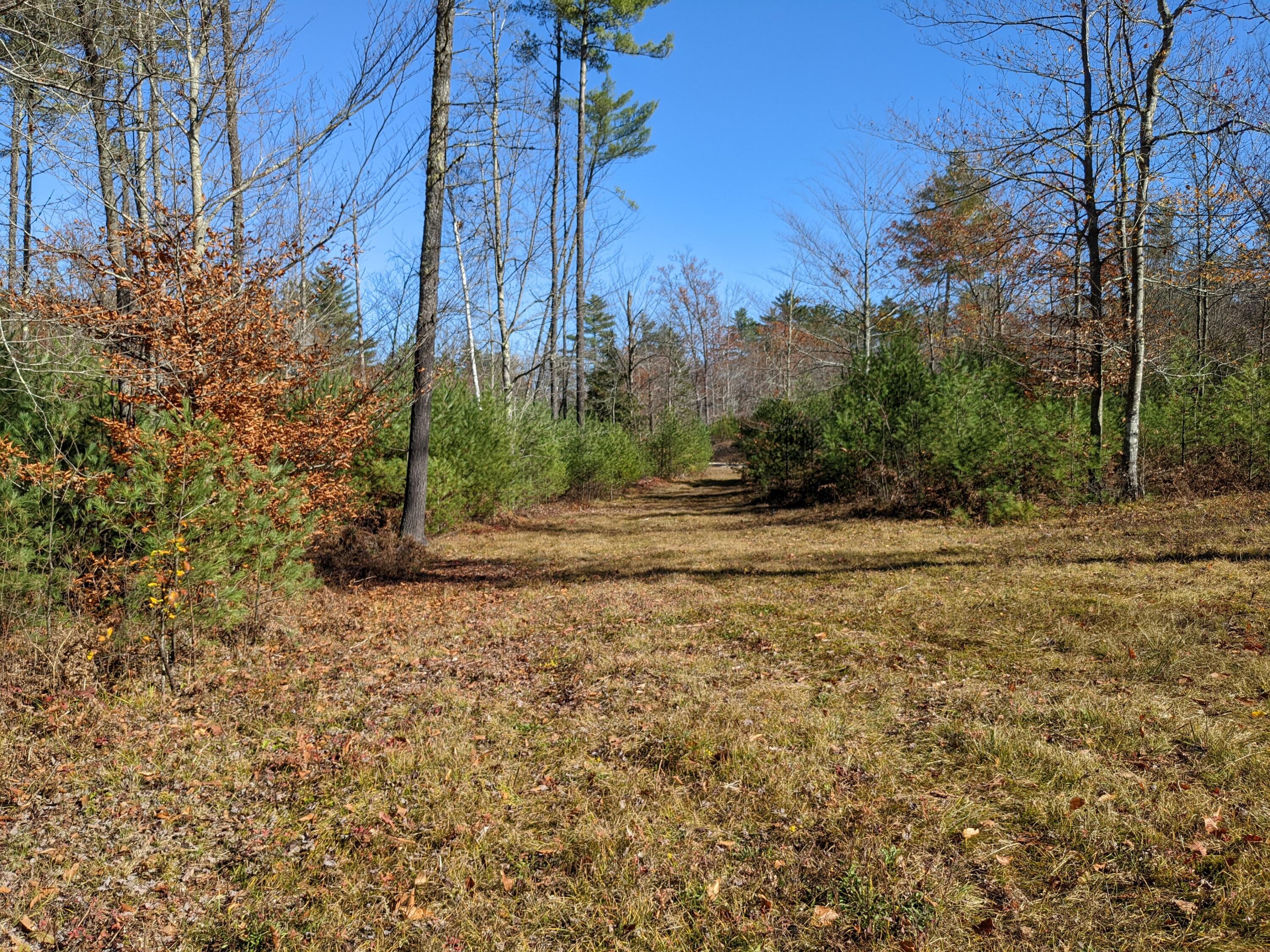 Lot # Highland Park Road Fryeburg, ME 04037 - Photo 4 of 15 Looking back towaarred drive