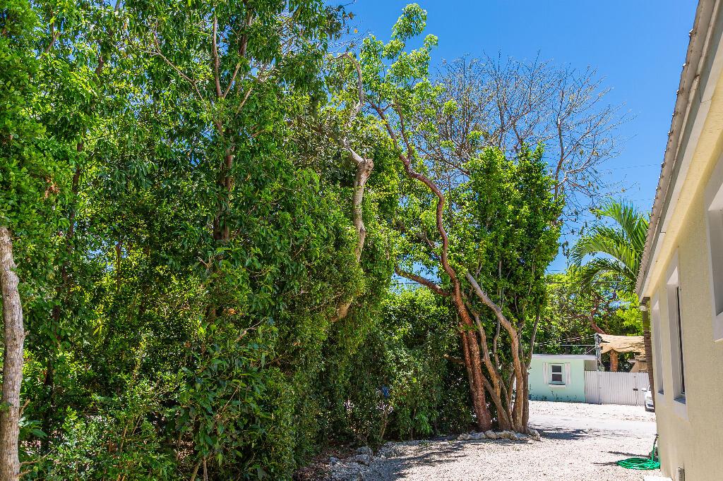 143 North Hammock Road Islamorada, FL 33036 - Photo 9 of 33 42147_6a2a050d1d115_06.11.2026_image-9