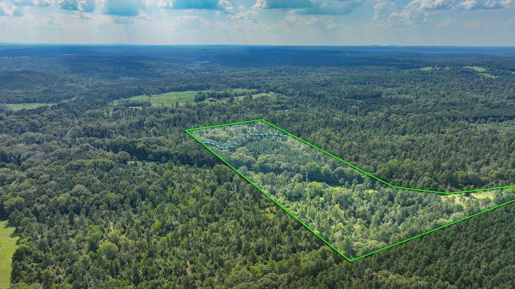 a view of a green field with lots of bushes