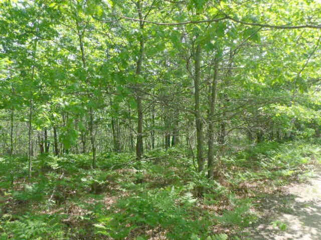 2350 North Black Road Twining, MI 48766 - Photo 32 of 35 1800556-31.JPG