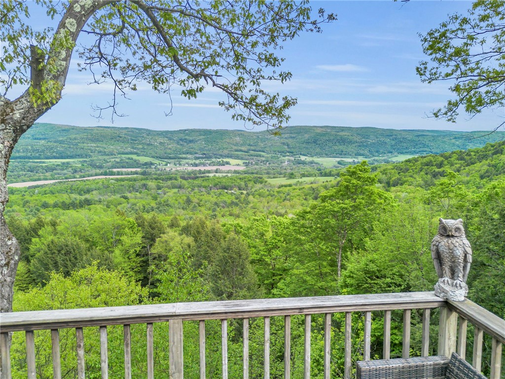 180 Campbell Hill Road Middlefield, NY 13326 - Photo 5 of 47