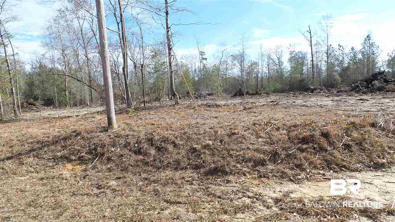 5-6 Dixon Nursery Road Brewton, AL 36426 - Photo 13 of 21