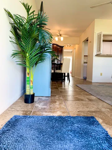 a view of a porch with chairs and potted plants