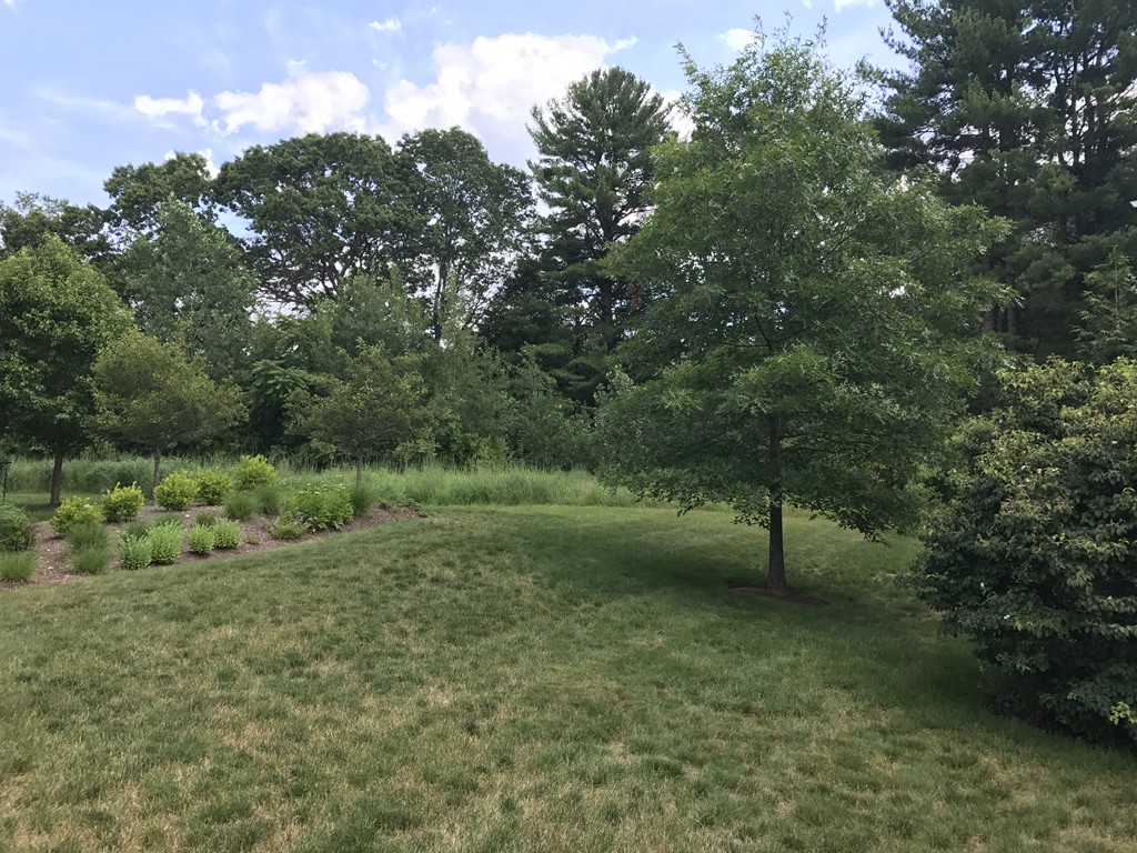 306 Trout Brook Road, Unit 306 Wayland, MA 01778 - Photo 4 of 5
