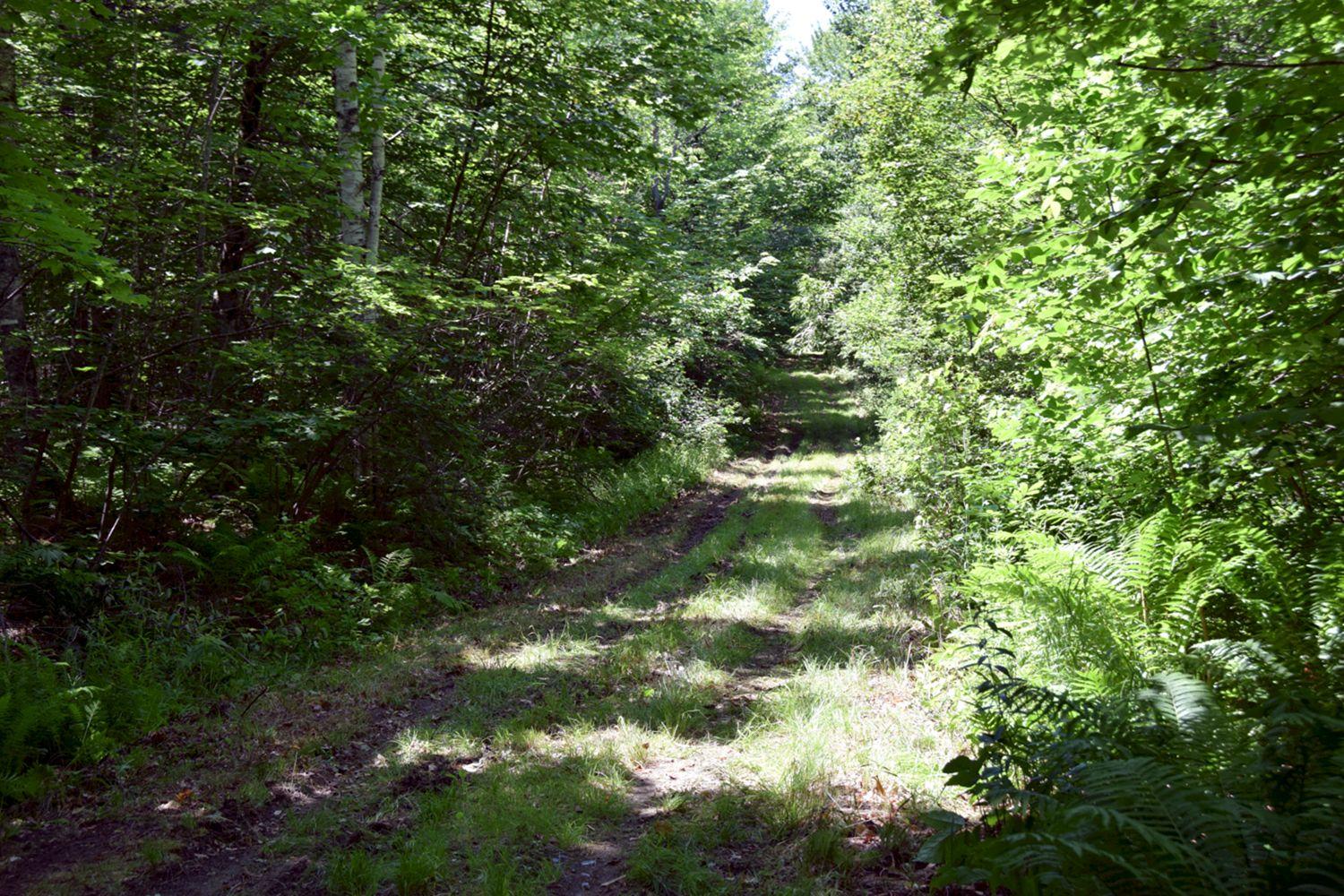329 Dunbar Hill Road Embden, ME 04958 - Photo 36 of 42 Road going in
