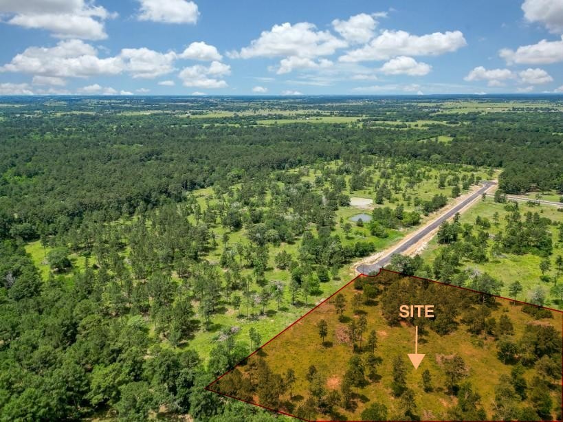 a view of a city with lush green forest