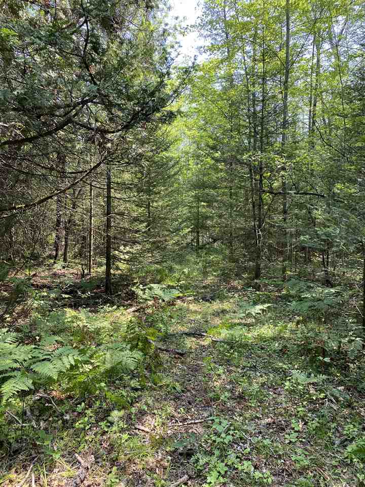 0 Briggs Road Omer, MI 48749 - Photo 31 of 45