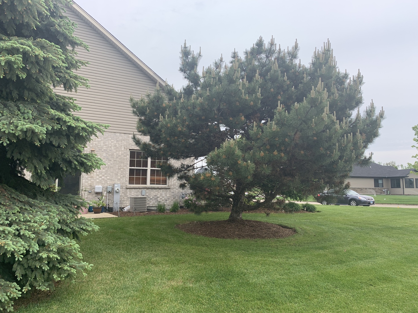239 Clover Ridge Drive Lockport, IL 60441 - Photo 15 of 16