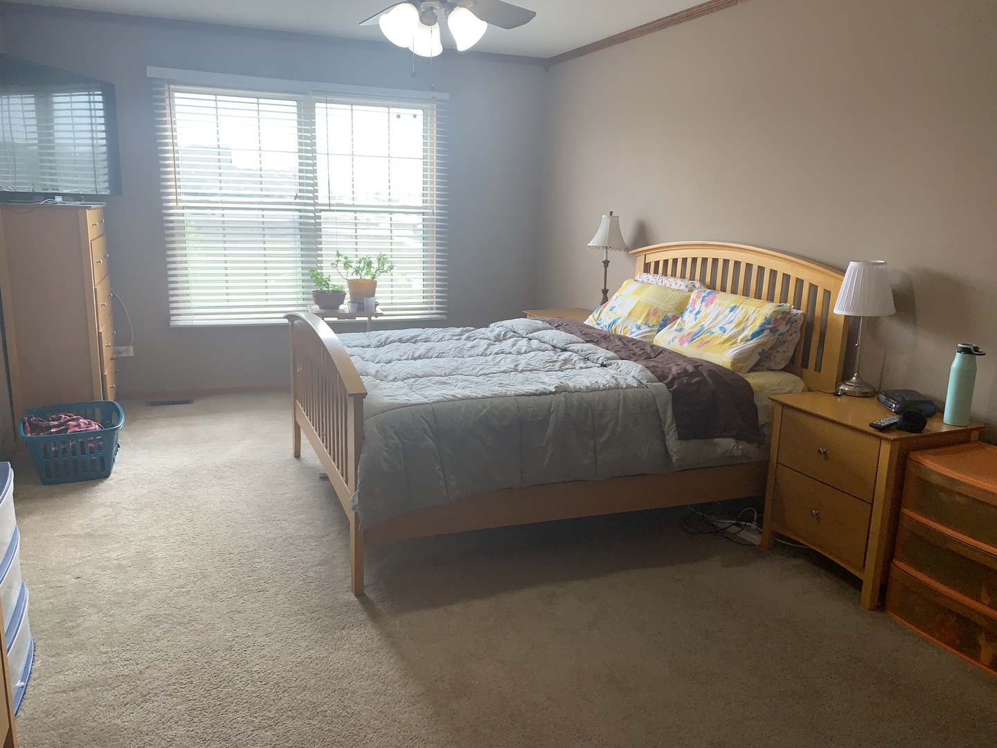 239 Clover Ridge Drive Lockport, IL 60441 - Photo 7 of 16