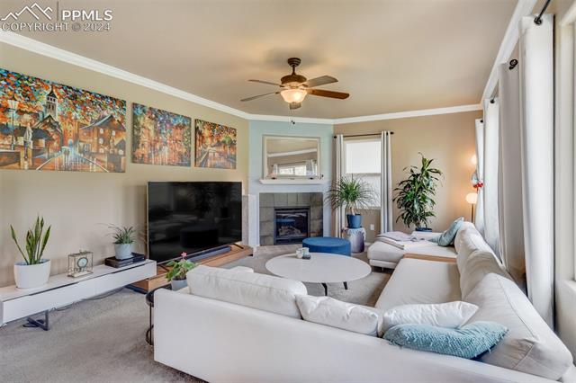 1648 Smokey Ridge Way Colorado Springs, CO 80921 - Photo 3 of 50