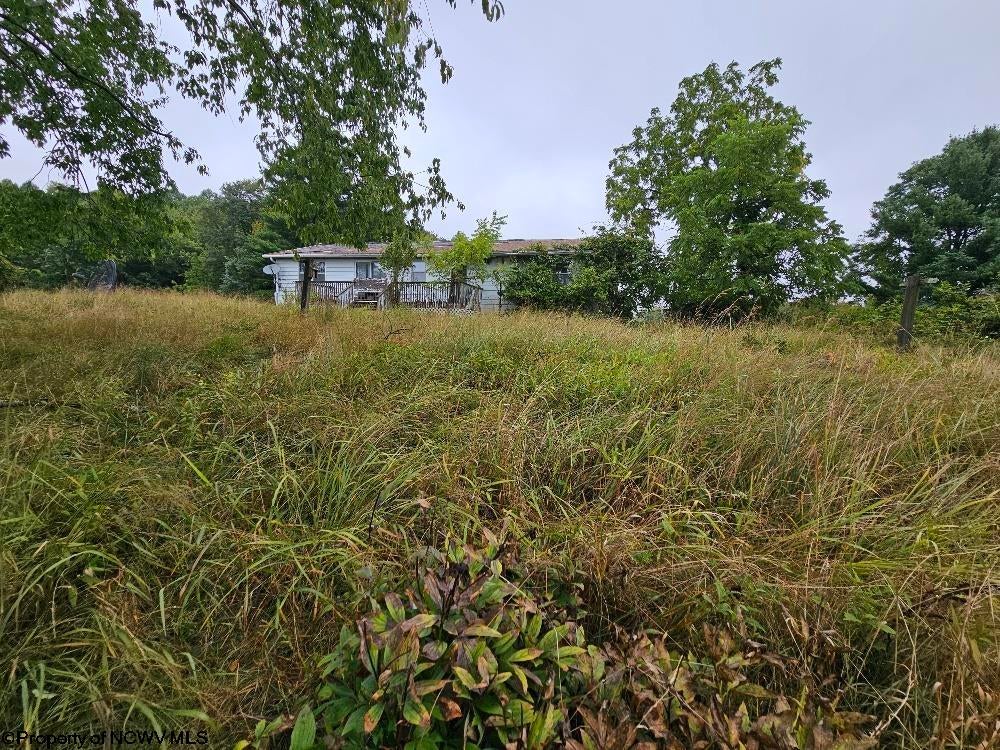 5196 Eden Road Rock Cave, WV 26234 - Photo 12 of 43 Gallery Image 12