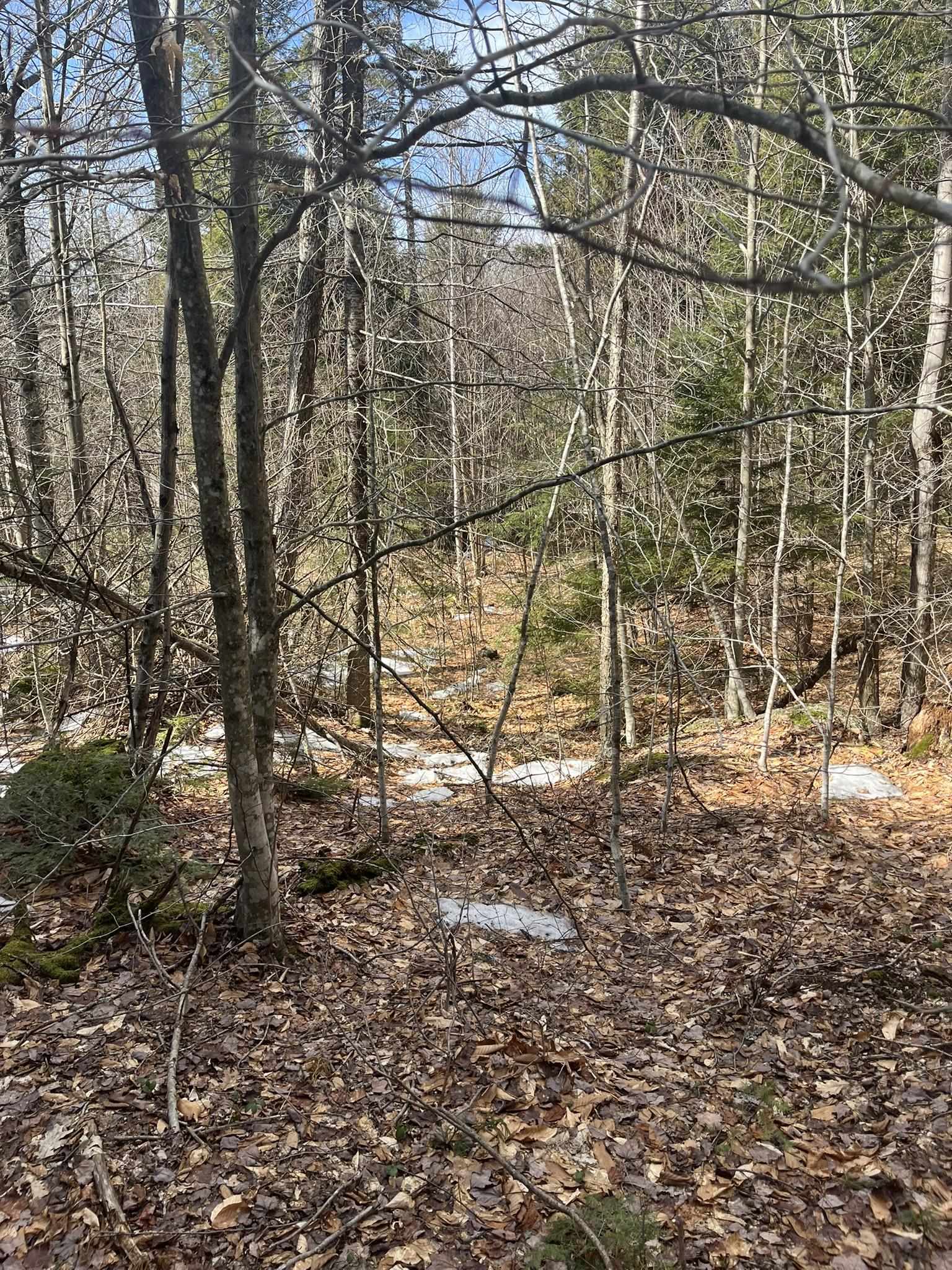 77-6 East Nh 03280 Road, Unit LOTS Washington, NH 03280 - Photo 1 of 8