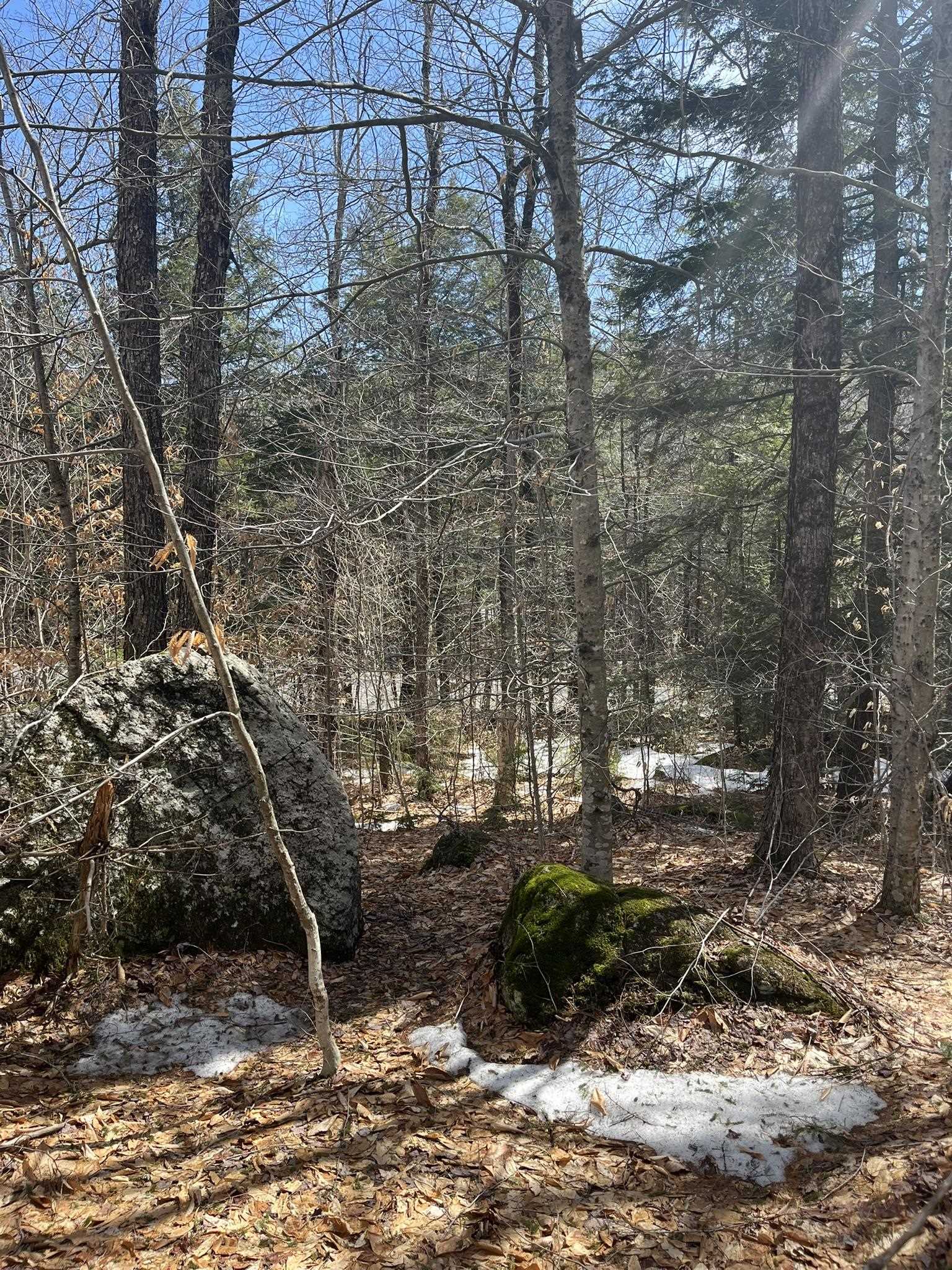 77-6 East Nh 03280 Road, Unit LOTS Washington, NH 03280 - Photo 2 of 8