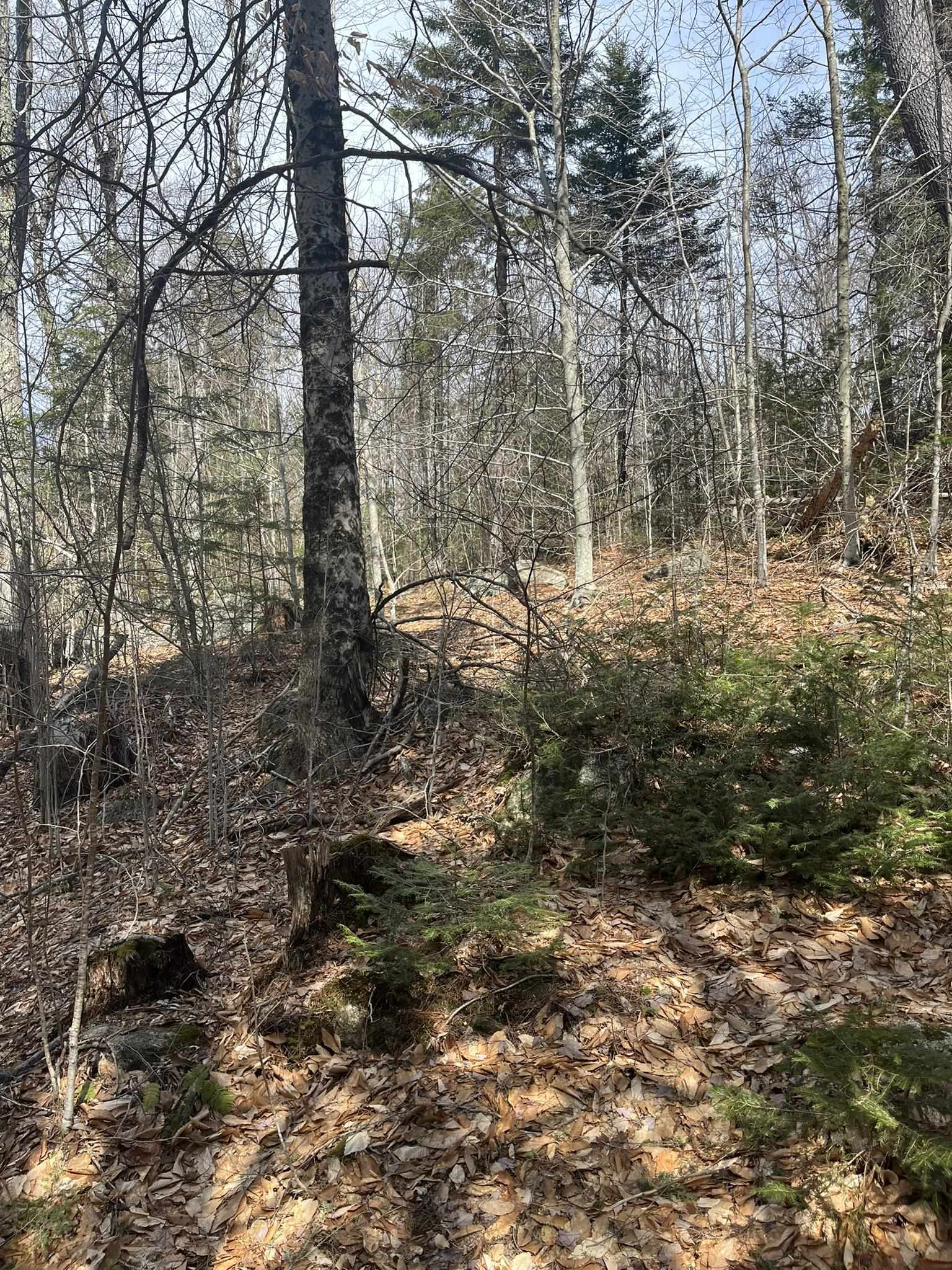 77-6 East Nh 03280 Road, Unit LOTS Washington, NH 03280 - Photo 3 of 8