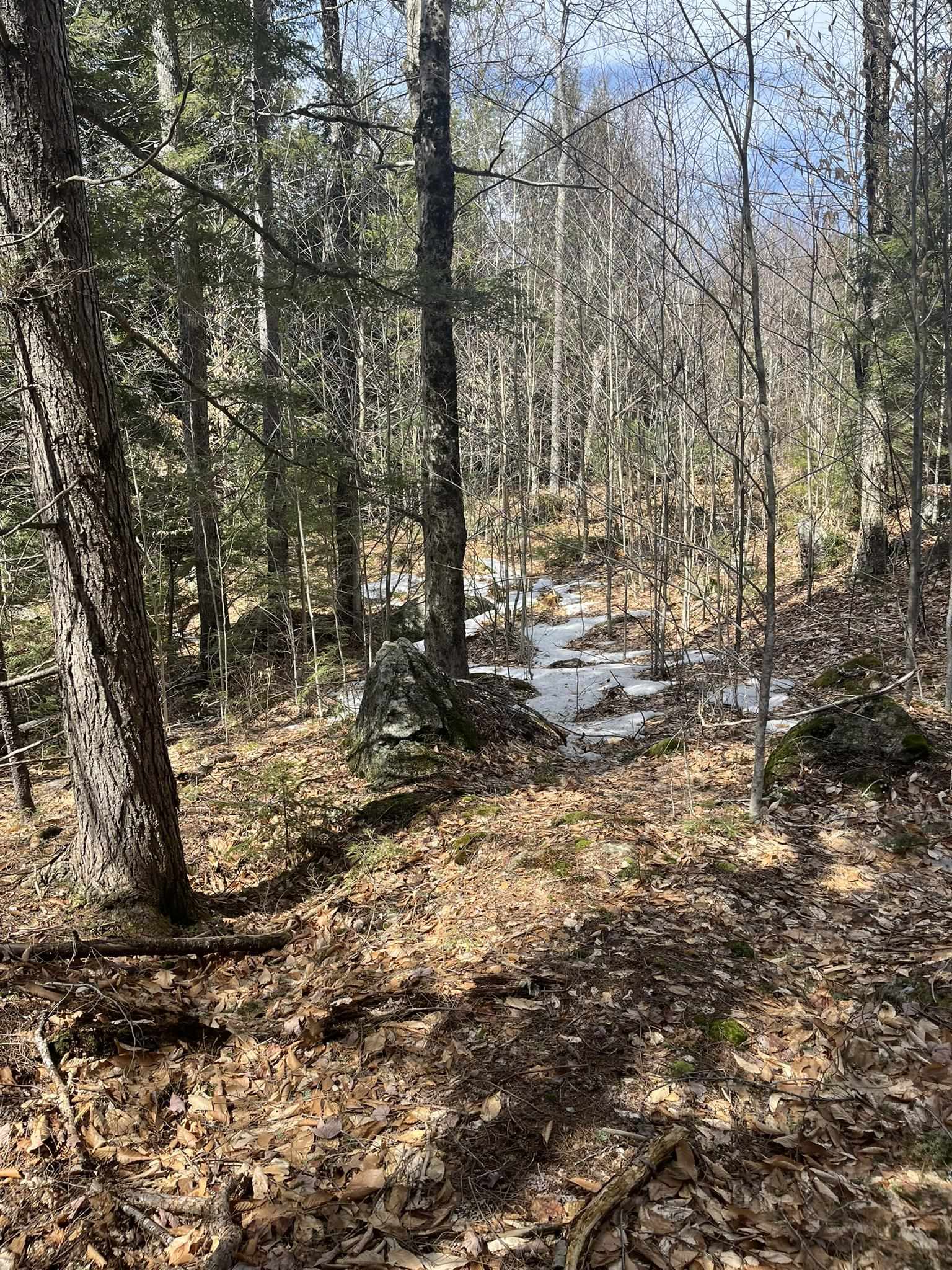 77-6 East Nh 03280 Road, Unit LOTS Washington, NH 03280 - Photo 4 of 8