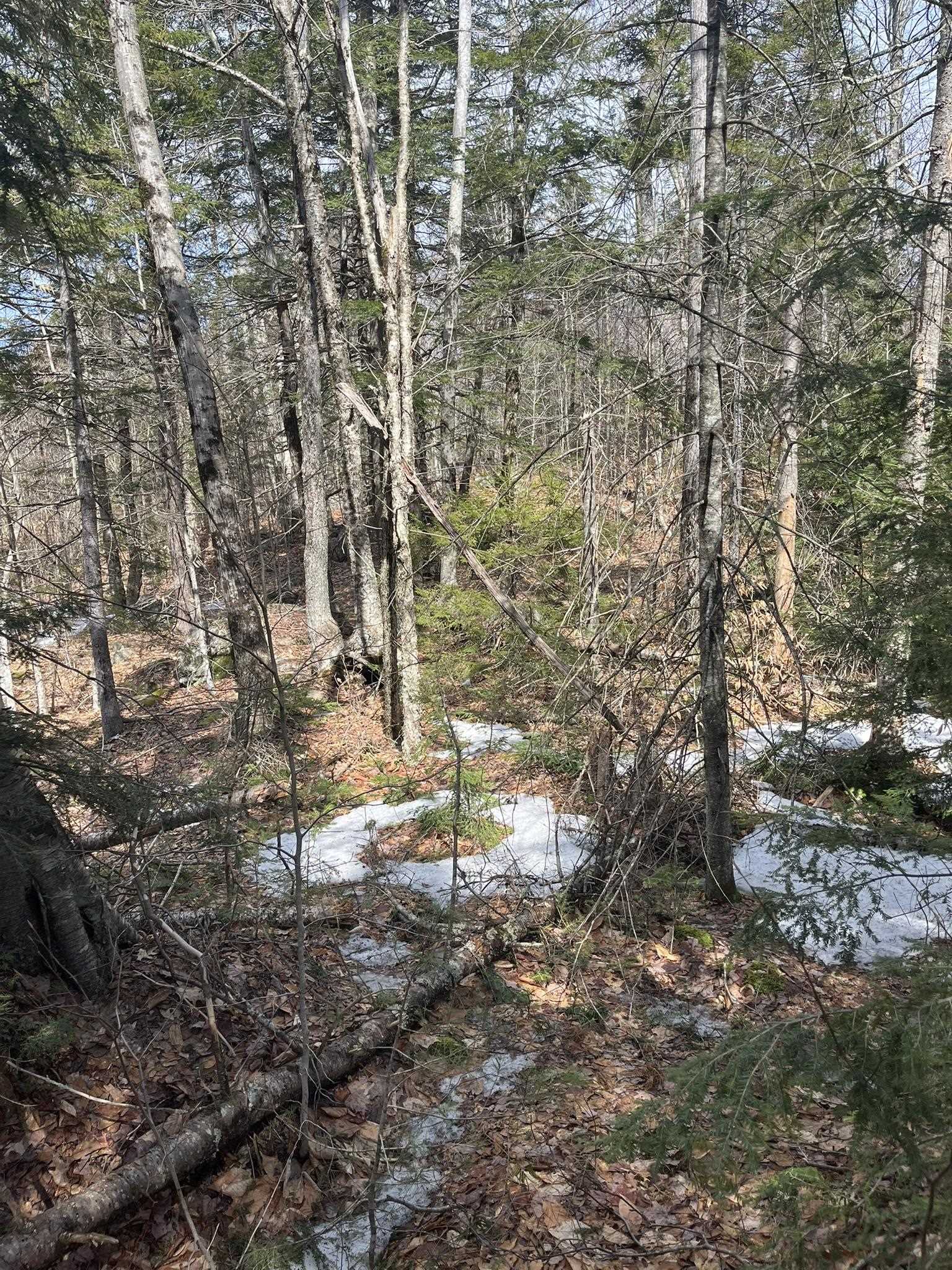 77-6 East Nh 03280 Road, Unit LOTS Washington, NH 03280 - Photo 5 of 8