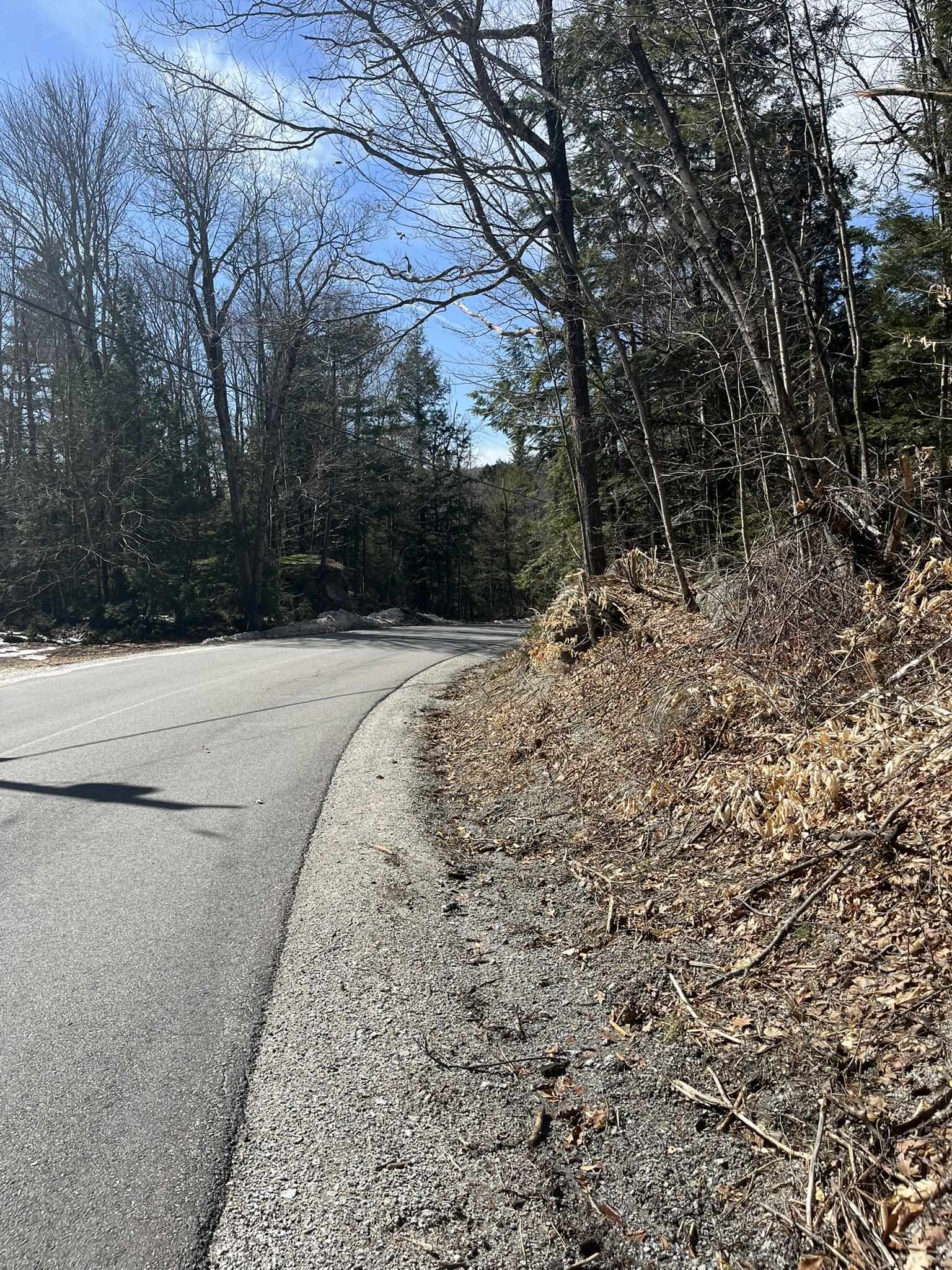 77-6 East Nh 03280 Road, Unit LOTS Washington, NH 03280 - Photo 7 of 8