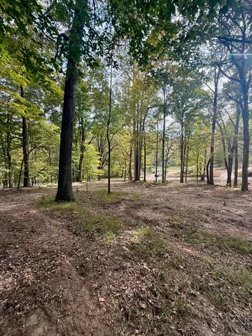 a view of outdoor space with trees