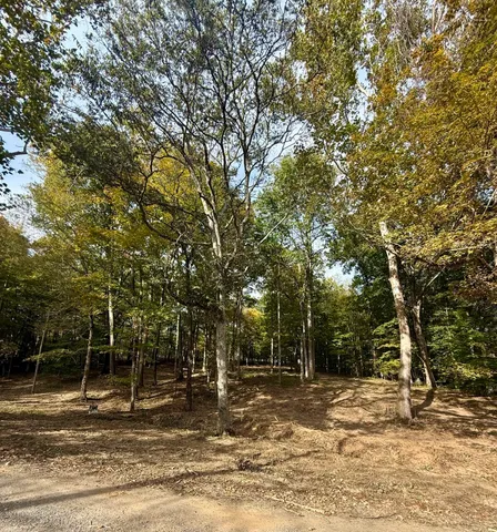 a view of a house with a trees
