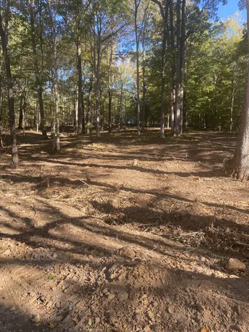 a view of road with trees